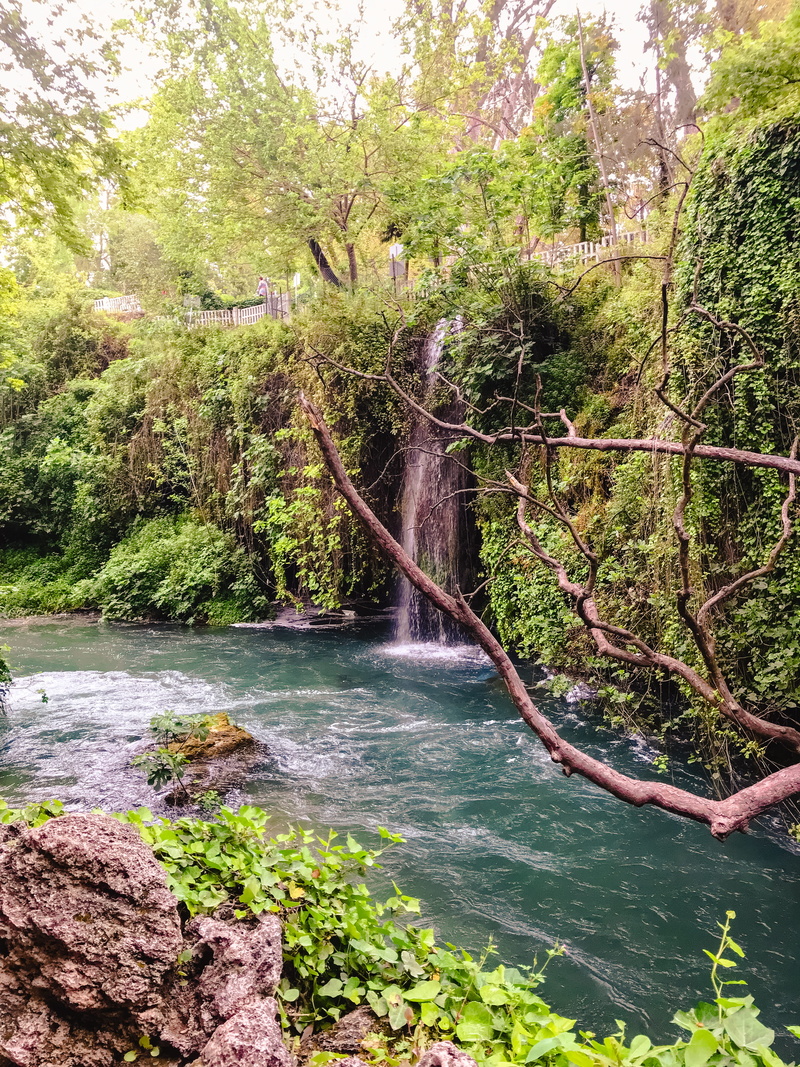 no people, earth pix, lara, growth, adventure, land, summertime, outdoors, summer, foliage, vibes, stream, creek, river, beauty in nature, green color