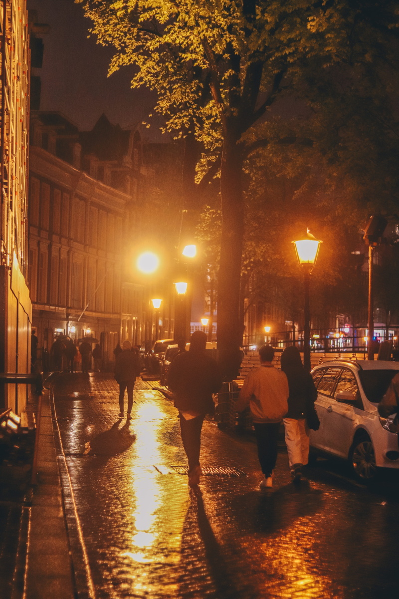 amsterdam, mode of transportation, rain, water, city, netherlands, nature, light, built structure, road, outdoors, land vehicle, streetlight, illuminated