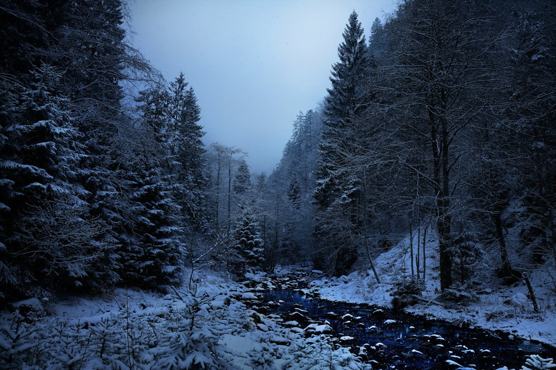 Memento mori, cold, 1080P, winter