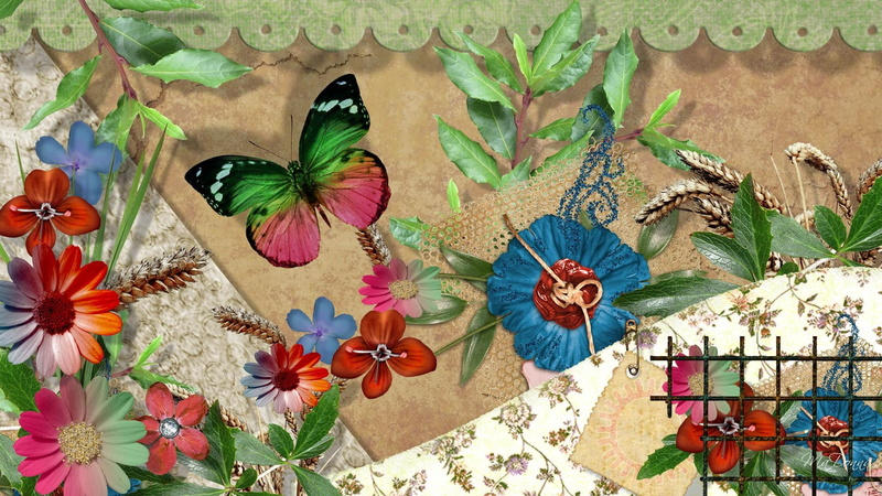 3d and abstract, summers, butterfly, plants, vintage, firefox persona, spring, flowers, paper, 1080P, summer, wish