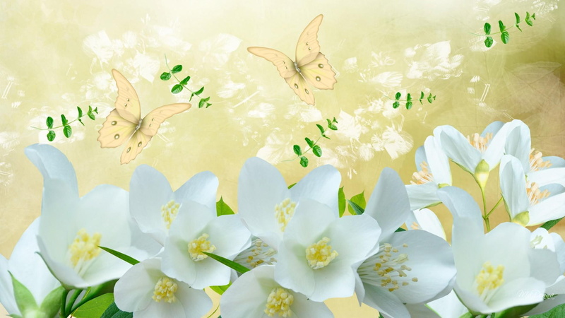 3d and abstract, summer, 1080P, flowers, firefox persona, white, butterflies, yellow, jasmine
