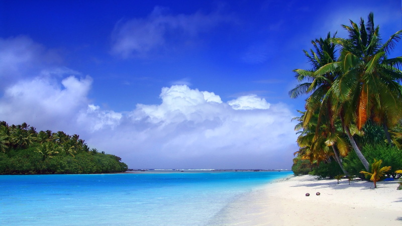 plant, definition, scenics - nature, beaches, outdoors, horizon, clouds, palm tree, sea, tranquility, nature, beach, blue, idyllic, water, cloud - sky