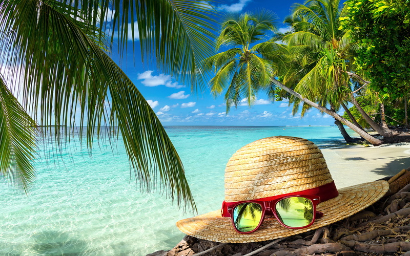sky, coconut palm tree, palm tree, outdoors, palm, tree, trip, sun, scenics - nature, trees, summer, tranquil scene, sunglasses, plant, tropical