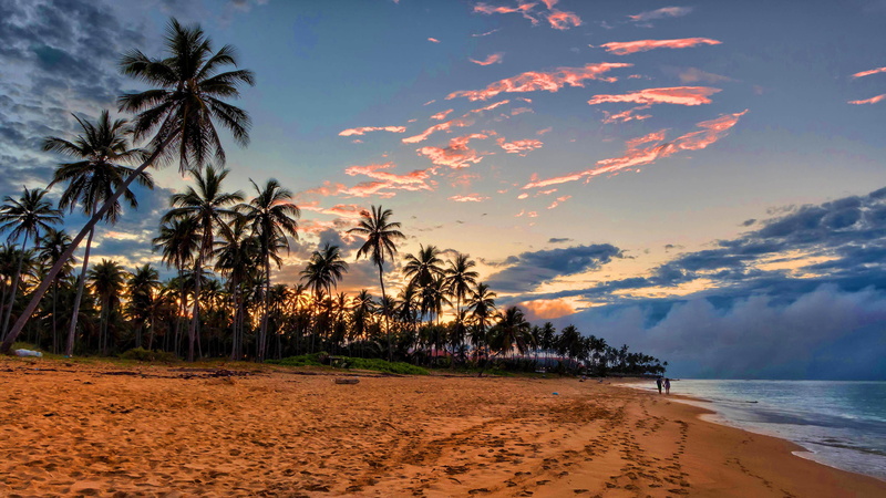 tropical tree, tranquil scene, sunset, beauty in nature, no people, warm, hd, round, tropical climate, land, landscapes, cloud - sky, 4K, water, desktop