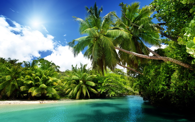 green color, palm, hd, turquoise, photo, cloud - sky, tree, water, outdoors, sky, swimming pool, turquoise colored, non-urban scene, no people, waterfront