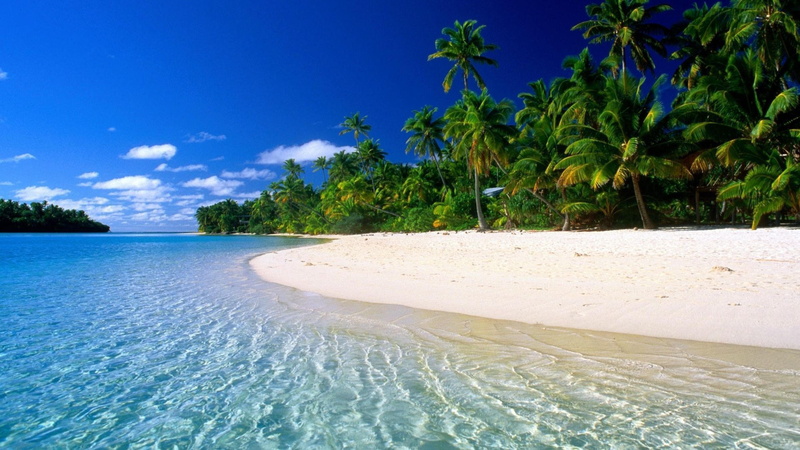 sea, palm, clear, beach, landscapes, trees, sand, beautiful, hd, 4K, green, water