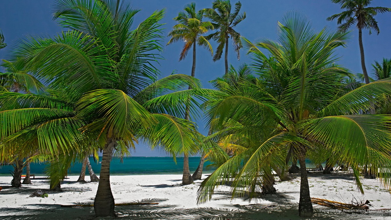 honduras, bay, island, Islands, roatan, palmetto, 2K