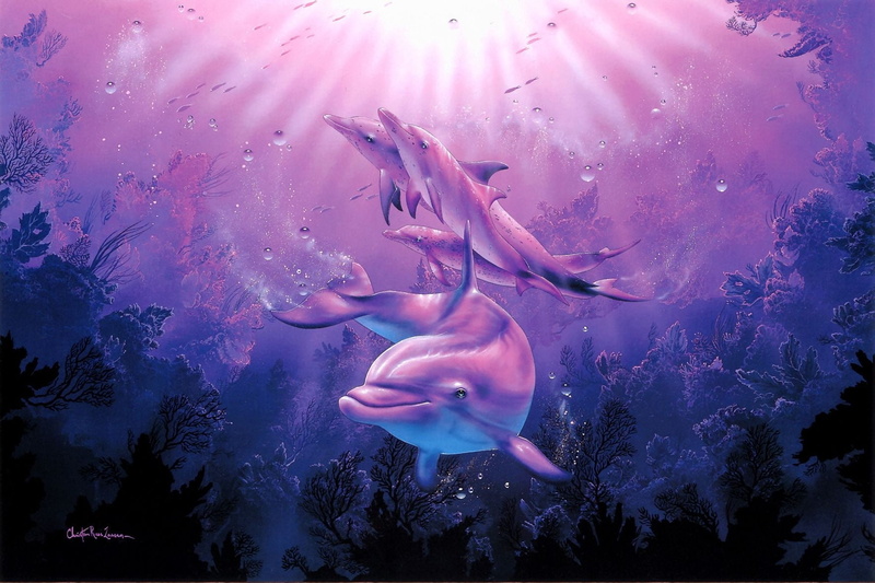 water, sea life, swimming, Corals, no people, group of animals, pink color, vertebrate, purple, beauty in nature, animals in the wild, marine, Riese, animal