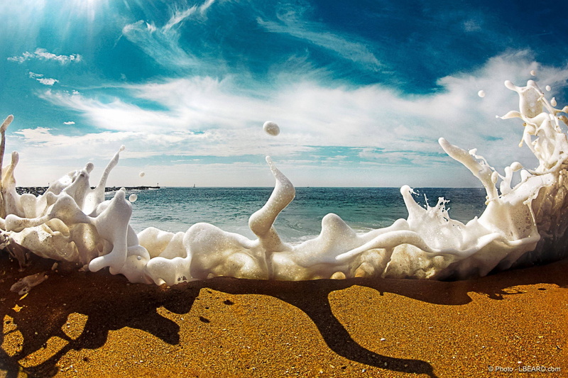 beach, brown, land, day, water, nature, animals in the wild, white, cloud - sky, no people, digital art, scenics - nature, animal wildlife, horse, animal themes