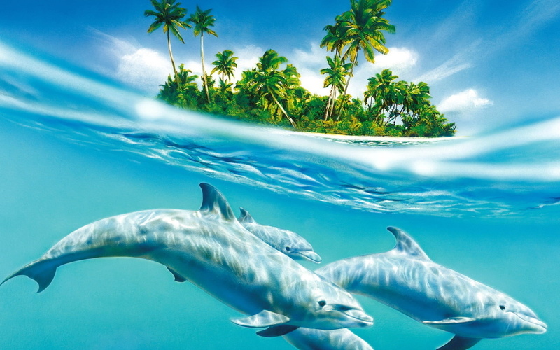 animal wildlife, undersea, shark, underwater, wildlife, outdoors, dolphin, swimming, nature, wind, water, waves, painting, no people, sea, vacations, palm tree