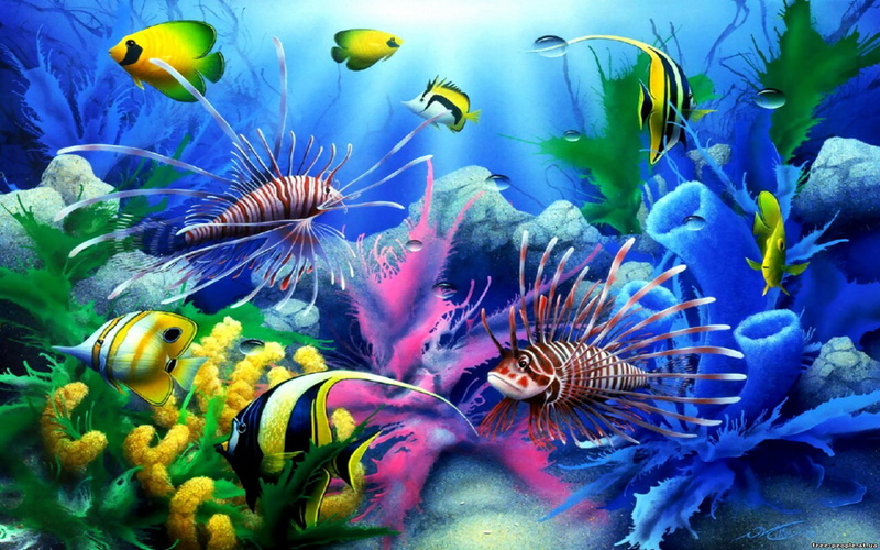 hd, colorful, tropical, 4K, coral, sea, fish, seabed, desktop