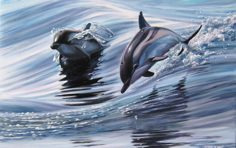dolphin, animals, sea, painting, 1080P
