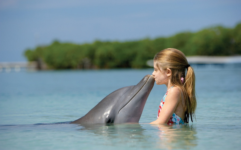 ponytail, little girl, children, 2K, dolphin, animals, water