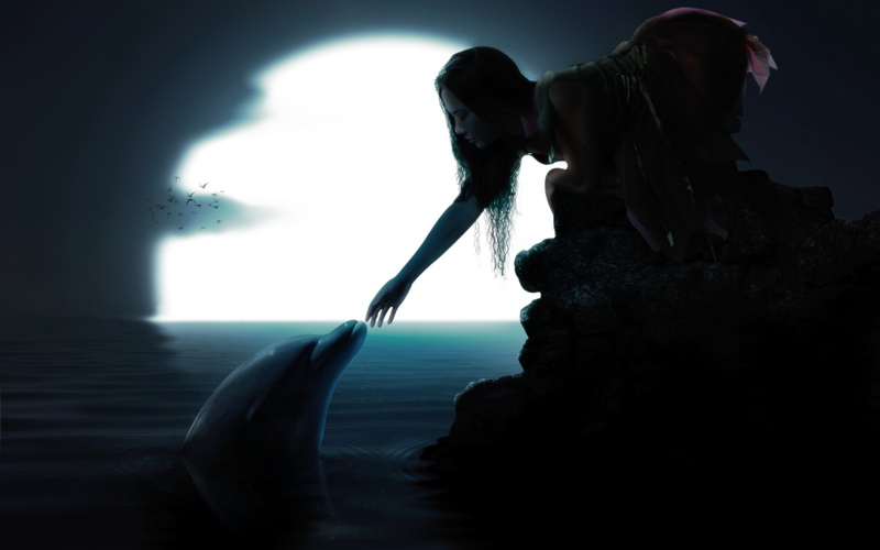 dolphin, 2K, Moon, solid, water, nature, day, real people, fantasy art, outdoors, silhouette, sea, leisure activity, standing, side view, tranquility