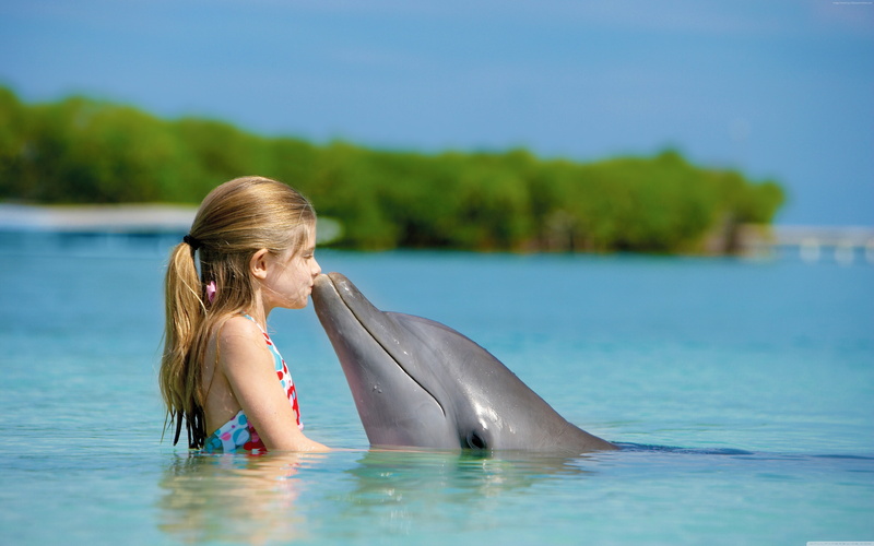 animal wildlife, women, Maldives, outdoors, mammal, hair, dolphin, Girl and dolphin, blond hair, one person, one animal, aquatic mammal, nature, animals in the wild