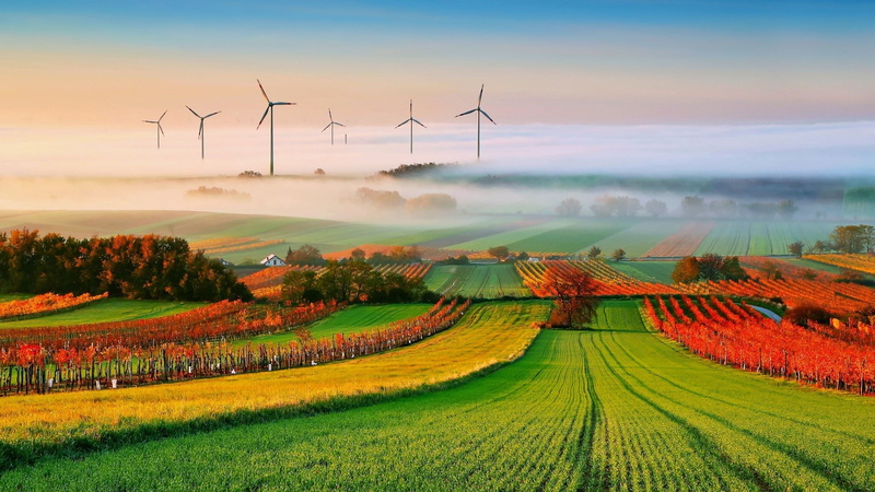 mist, wind turbine, turbine, hill, trees, vineyard, landscape, nature, field, 1080P, house, clouds, wind