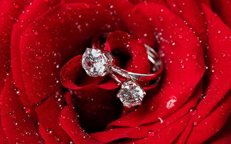 no people, silver colored, wedding ring, drop, jewelry, diamond ring, luxury, positive emotion, 4K, diamond - gemstone, close-up, nature, wealth, emotion