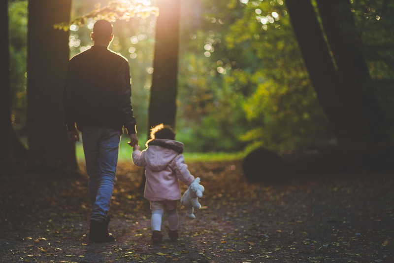 nature, parent, fall, forest, sunlight, leisure activity, park, dad, trees, 4K, child, plant, outdoors, land, real people, males, girl, father, one person
