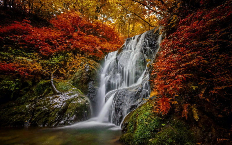 beautiful, forest, foliage, waterfall, colors, cascades, water, leaves, fall, lovely, rocks, autumn, falling, 720P