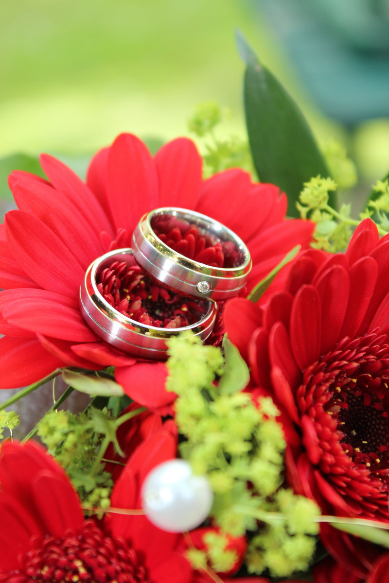 bridal bouquet, wedding bouquet, marriage, flowering plant, nature, rings, gerbera, love, petal, 5K, flower arrangement, bouquet, romance, leaf, beautiful