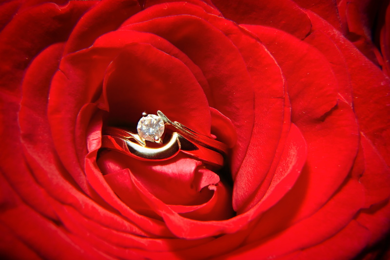 image, flower head, diamond - gemstone, horizontal, gemstone, rose, emotion, wedding ring, married, rose - Flower, full frame, romance, no people, ring