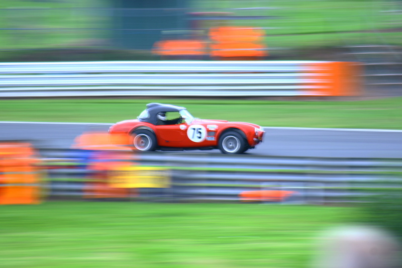 motor racing, circuit, blurred motion, race, automobile, racer, horsepower, vintage, black, drive, people, ac cobra, classic, mode of transportation, convertible