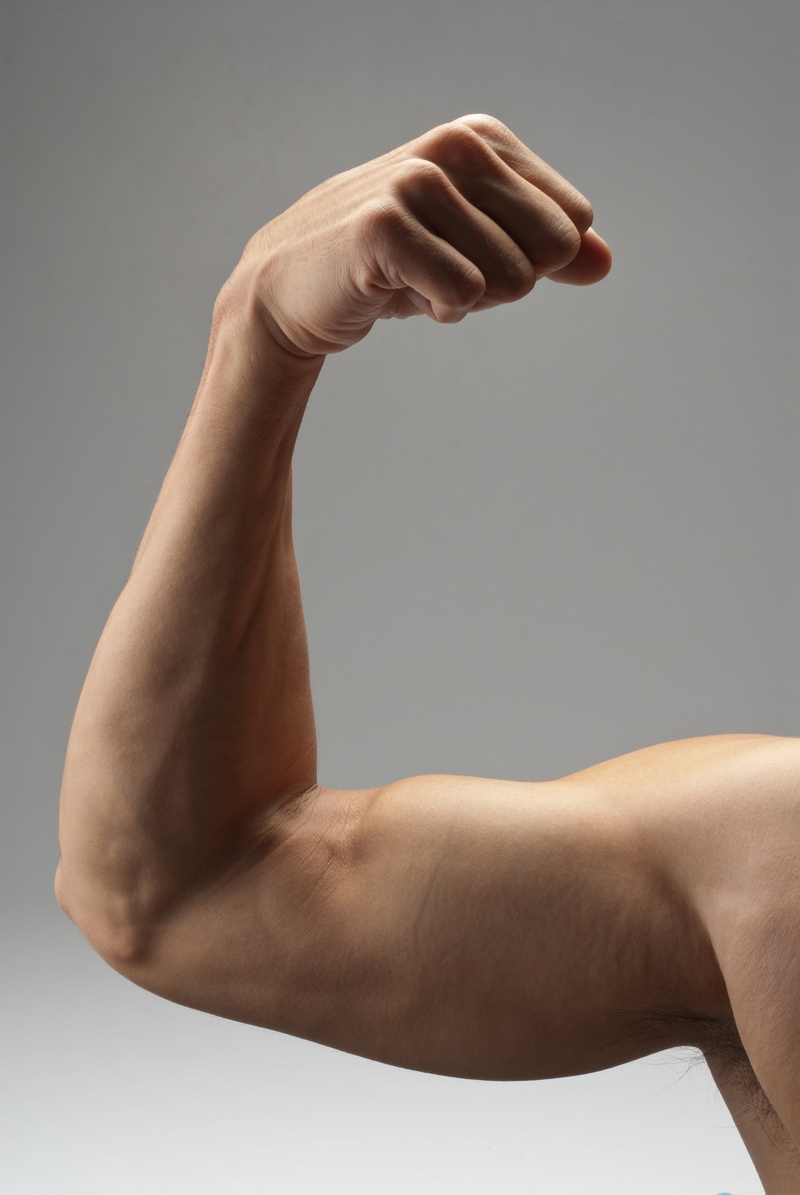 human Muscle, flexing, muscle, gray, gym, healthy Lifestyle, fitness, muscular Build, young Adult, one Person, bodybuilder, muscular, strong, exercise