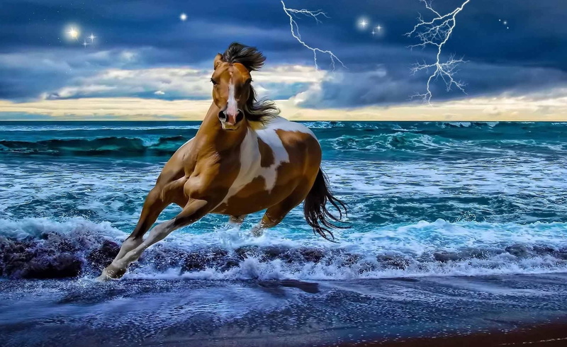 water, retouch, sea, 1080P, nature, animals, widescreen, horses, sky, lightning