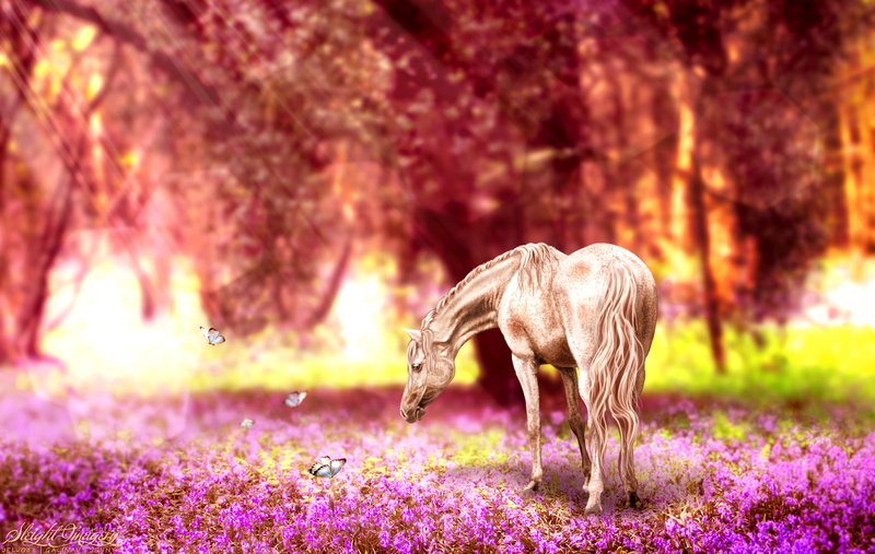 nature, butterfly, 1080P, retouching, flowers, horse