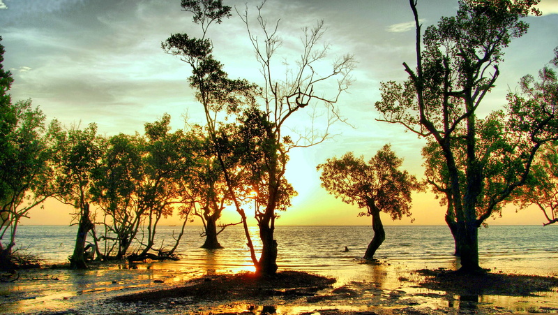 retouching, sunset, trees, Thailand, beach, 1080P