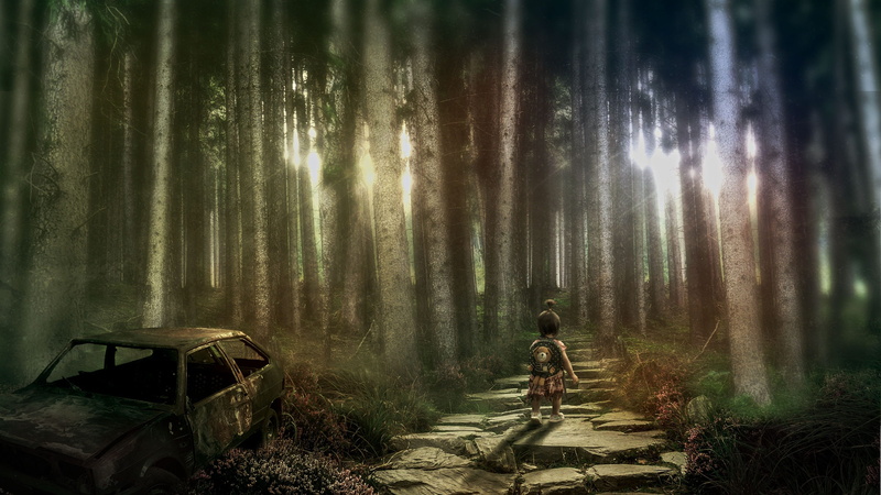one person, plant, woodland, photoshop, outdoors, growth, oil piant, forest, posters independent, transportation, tranquil scene, tranquility, land