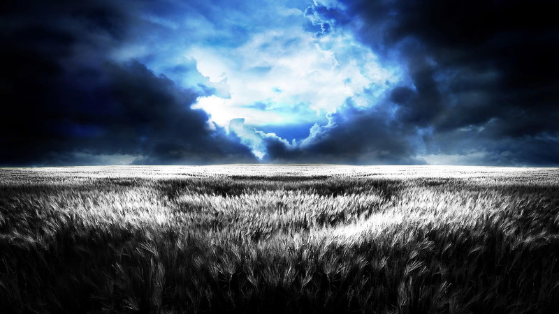 storm, stormy, wheat field, horizon over water, cloudscape, sea, power in nature, cloud - sky, photoshop, beauty in nature, field, environment, landscape