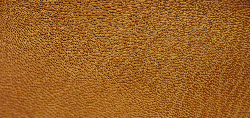 one animal, textured, illuminated, rough, greyish, pattern, abstract, animal, full frame, gegärbt, leather, day, real leather, textile, 4K, skin, animal themes