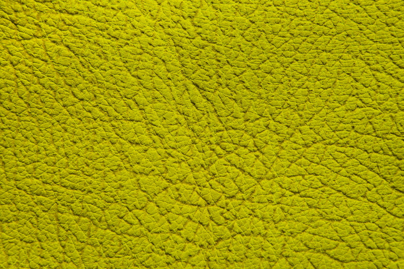 animal, close-up, texture, green, pattern, long lasting, textured, alive, open pore, outdoors, durable, no people, abstract, material, green color, water