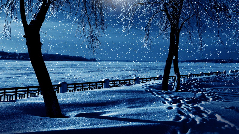 snowfall, evening, sky, snowing, tree, snowy, night, freezing, 4K, snow, nature, fence, darkness, branch, winter, blue