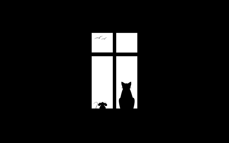 window, animals, artwork, birds, cat, black, black background, 2K, white, minimalism