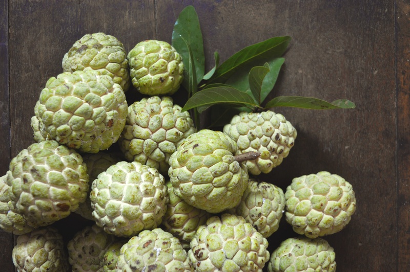 2K, plant part, fresh, organic, green color, agriculture, freshness, day, edible, natural, close-up, exotic, green, custard apple, sweet, vegetable, no people