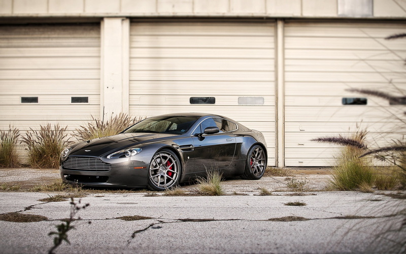 Aston Martin Vantage, car, 1080P, plants, Aston Martin, shrubs, black cars