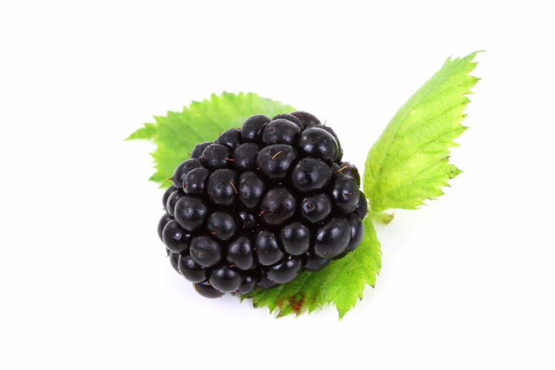 no People, fruit, 2K, dieting, white, green color, fruits And Vegetables, sweet, black color, wellbeing, studio Isolated, macro, raspberry, healthy Eating