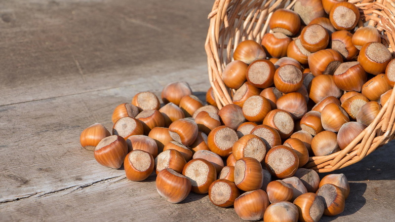 vegetarian, snack, nutrition, plant, healthy, tasty, focus on foreground, health, food and drink, large group of objects, food, close, eat, vegan, nuts