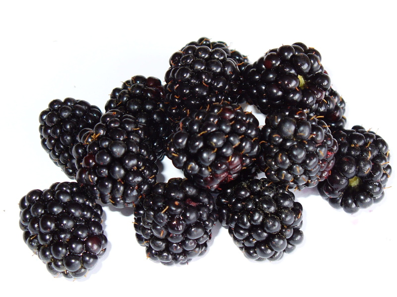 no People, grape, blackberry - Fruit, freshness, Bramble, blueberry, Fruit, bunch, vegetarian Food, food, sweet Food, berry, studio Isolated, Macro, isolated
