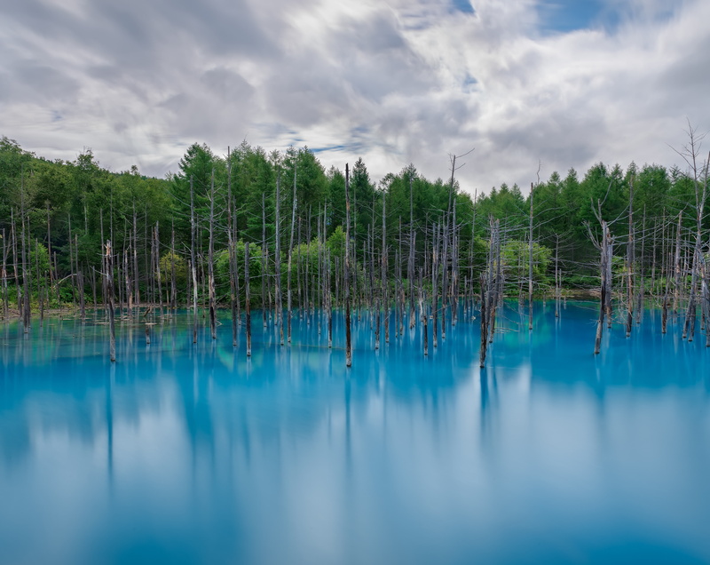 leafed, hokkaidoprefecture, Water, turquoise colored, hokkaido, aoike, forest, biei, Blue, non-urban scene, tree, minerals, kamikawadistrict, scenics - nature