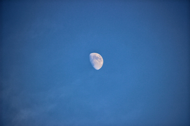astronomy, tranquility, clear sky, 5K, full moon, nature, blue, no people, extraterrestrial, space exploration, astrology, idyllic, sky, outdoors, hd