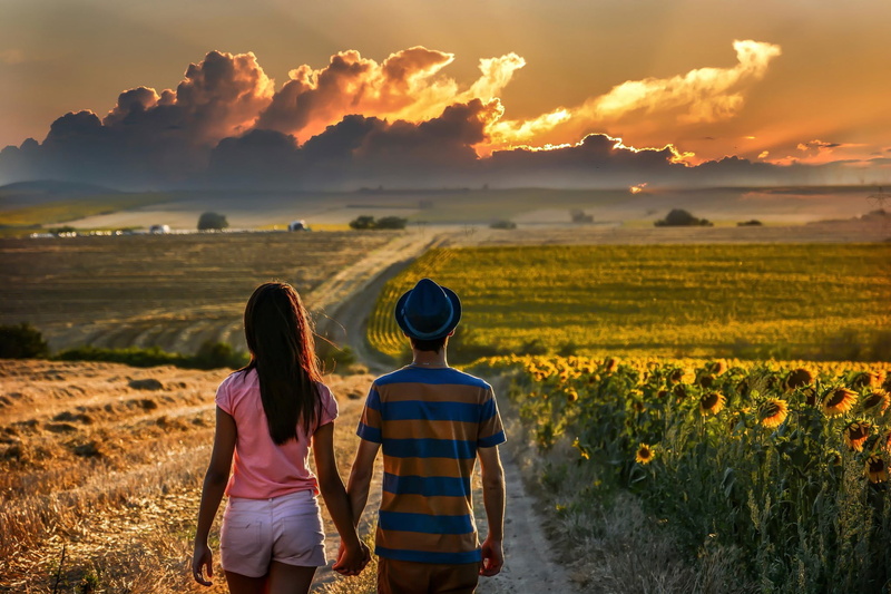 men, couple - relationship, real people, women, nature, beauty in nature, 1080P, sky, holding, sunflowers, lifestyles, bonding, positive emotion, landscape