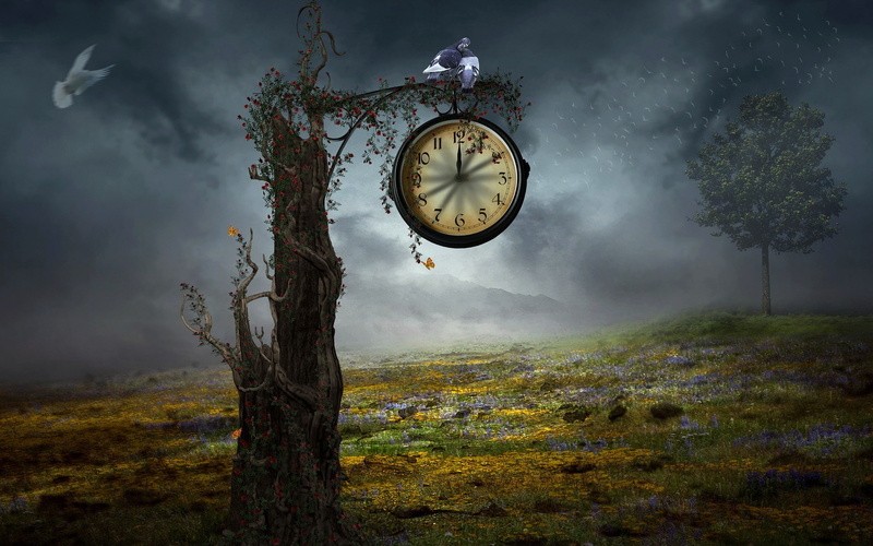 Design, 1080P, Clock, Tree, Creative