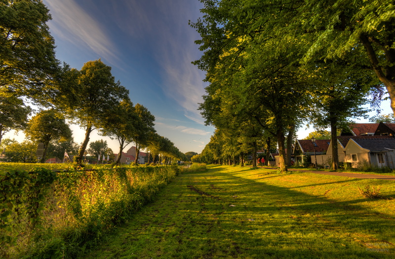 house, green grass, zomer, Dutch, village, field, stad, Nederland, photography, outdoors, tree, rural Scene, grass field, Nederlands, City, leaves, trees