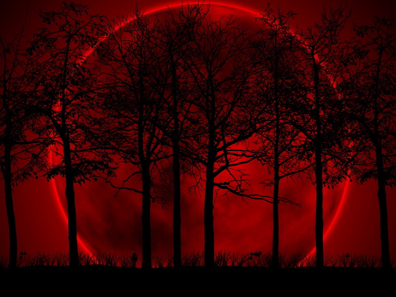 tree, silhouette, art, tree trunk, blood, beauty in nature, environment, sunset, back Lit, sky, no people, digital, night, orange Color, black Color, forest