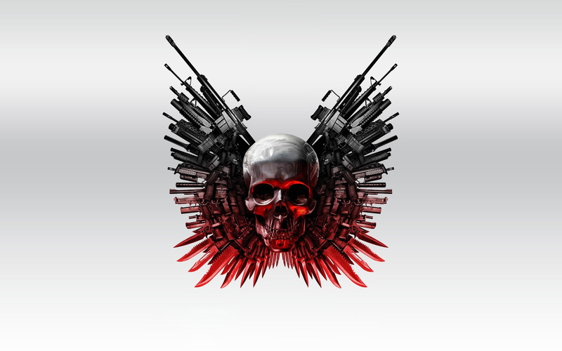 human Skull, symbol, marine, human Head, expendables, studio shot, human Face, black Color, excitement, sea life, digital composite, copy space, one animal