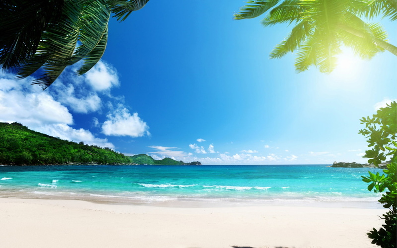 1080P, stunning, beach, tropics, daytime, sea, palms, islands, sun, caribbean, caribbean sea