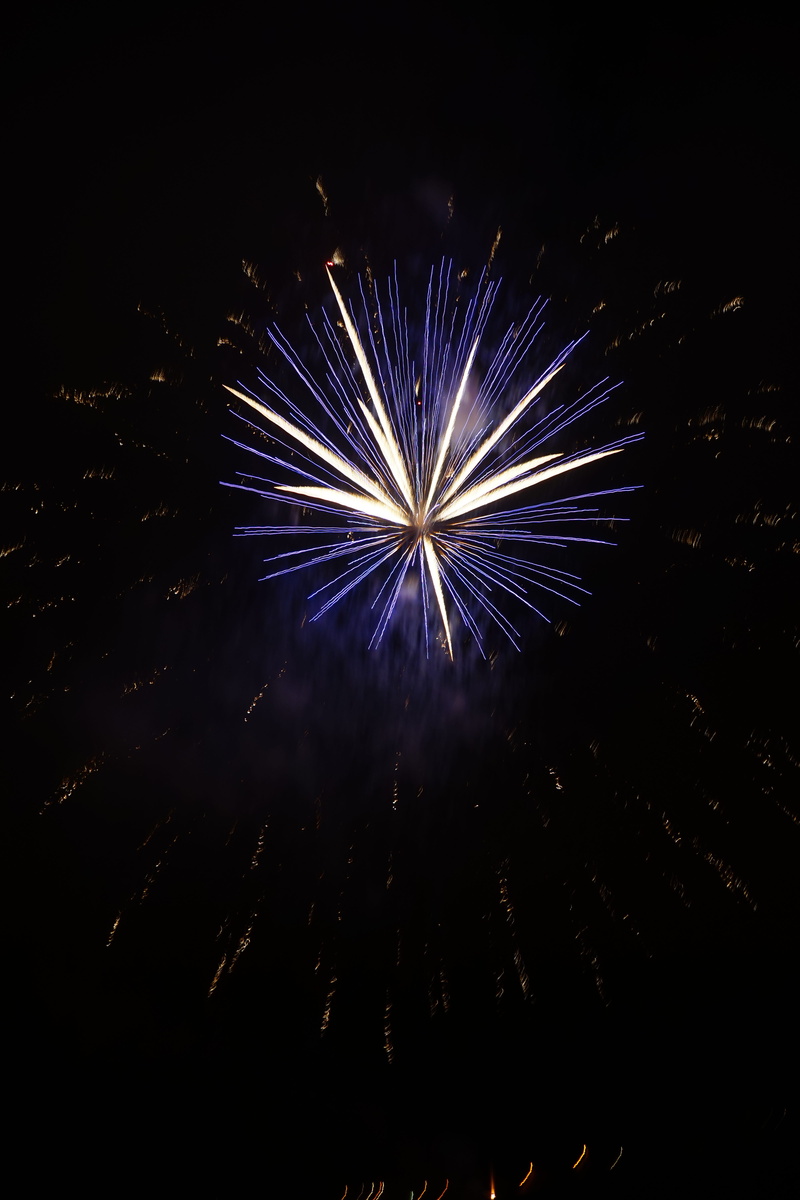 brown, party - Social Event, star, Explosion, illuminated, glowing, pyrotechnics, shower of sparks, White, 5K, bright, night, fourth of July, nature, firework